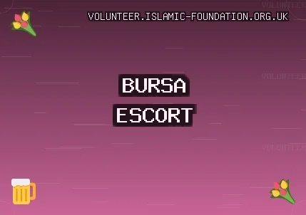 Bursa Escort: Osmangazi Escort, Harmancık Escort, Orhangazi Escort